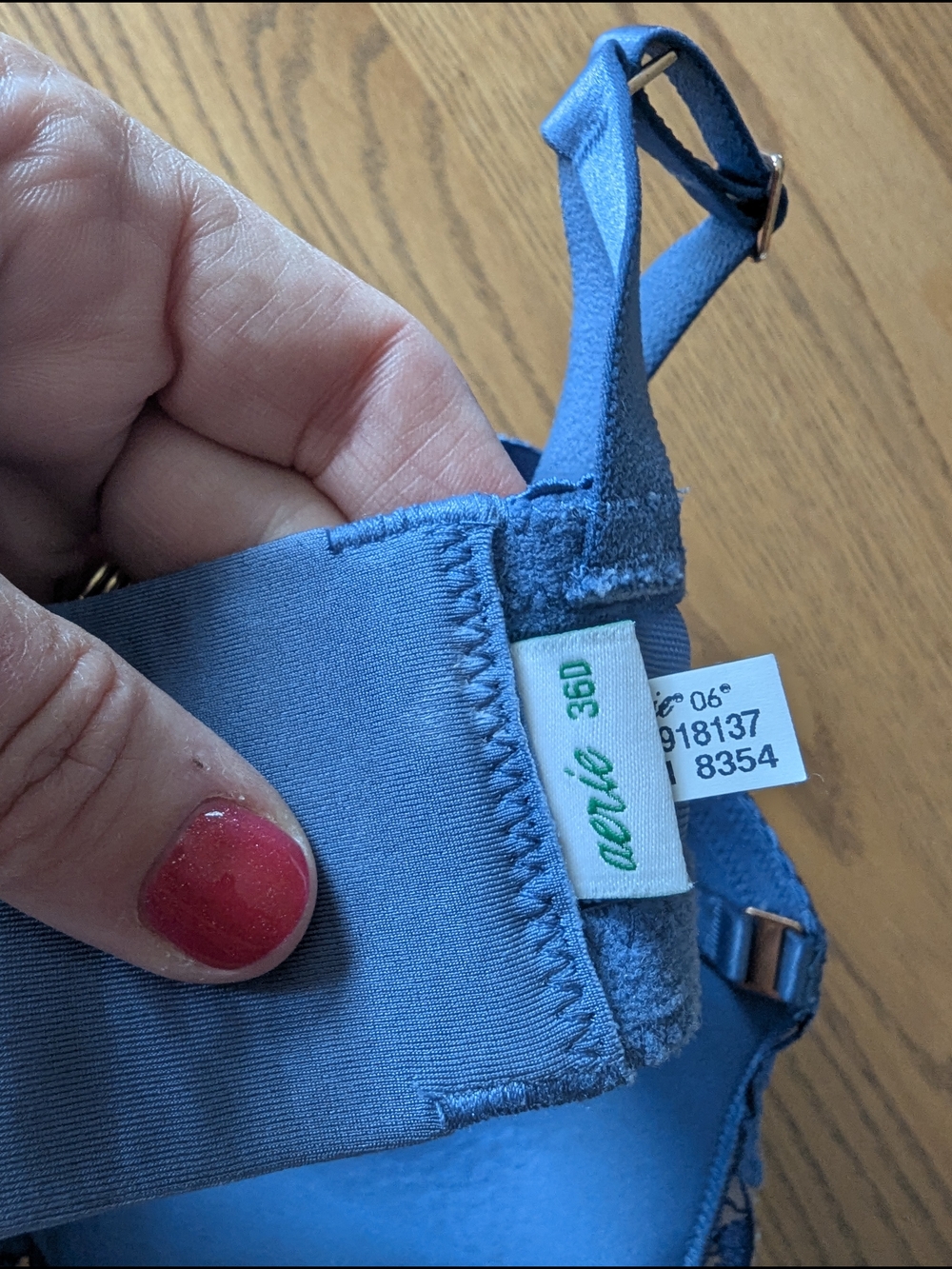 aerie Blue Bra